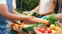 Veganismo e Doação: Um Futuro Compassivo e Sustentável
